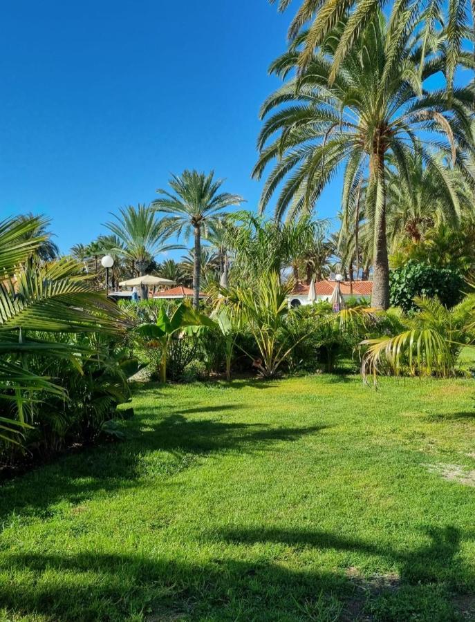 Sun Club P65 Premium Bungalow Maspalomas  Bagian luar foto